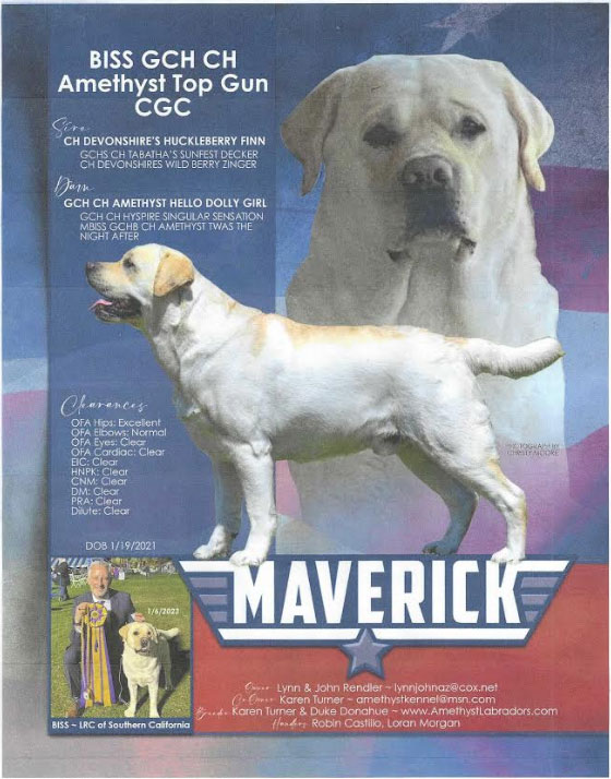 Maverick